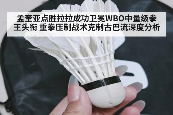 孟奎亚点胜拉拉成功卫冕WBO中量级拳王头衔 重拳压制战术克制古巴流深度分析